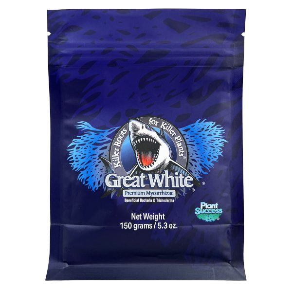GREAT WHITE 750G - Image 4
