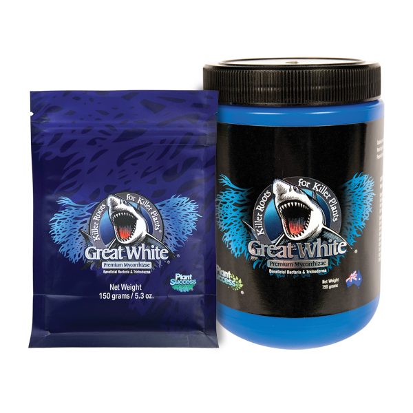 GREAT WHITE 750G - Image 3