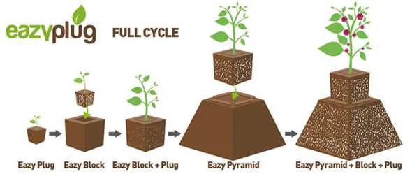 EAZYPLUG 12 TRAY - Image 2