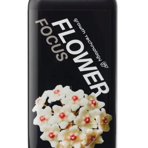 GT FLOWER FOCUS 1L