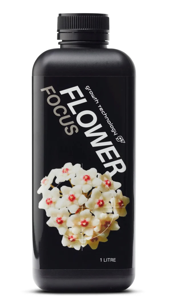 GT FLOWER FOCUS 1L
