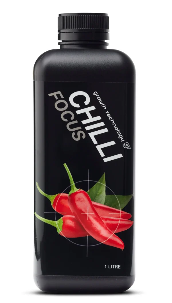 GT CHILLI FOCUS