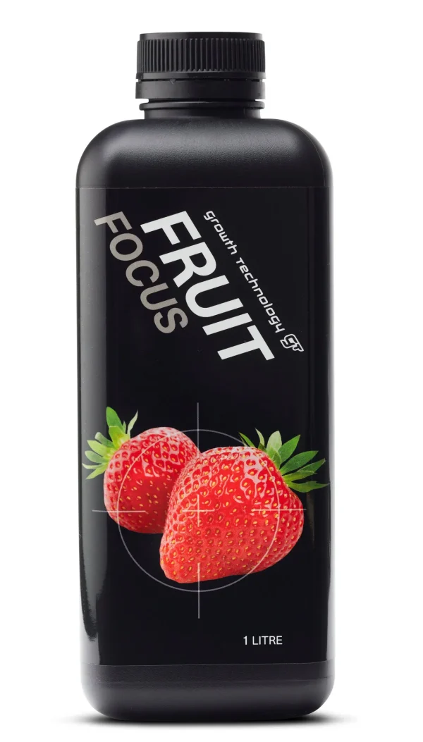 GT FRUIT FOCUS 1L